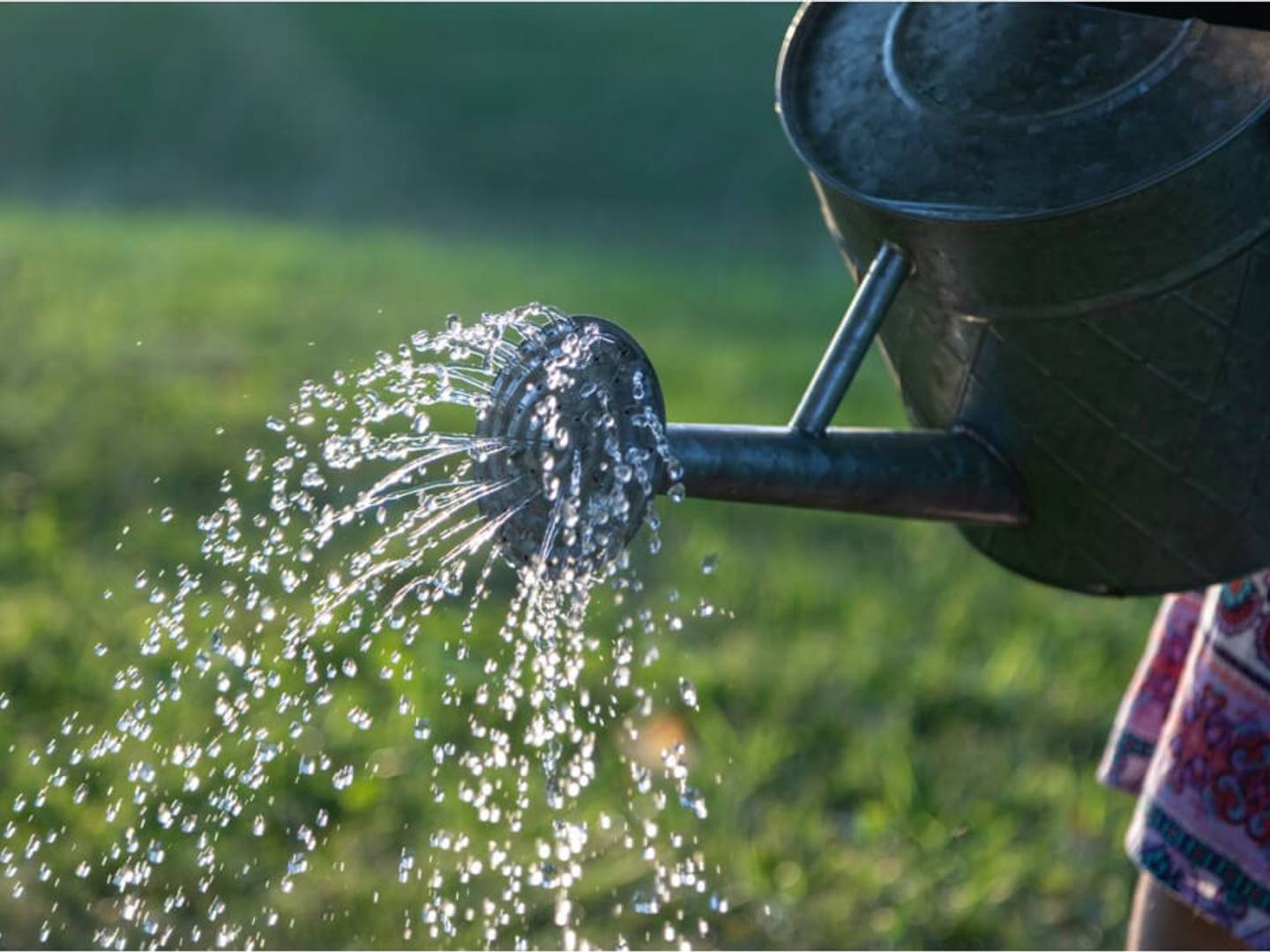 Watering can 1030 707 90 s c1