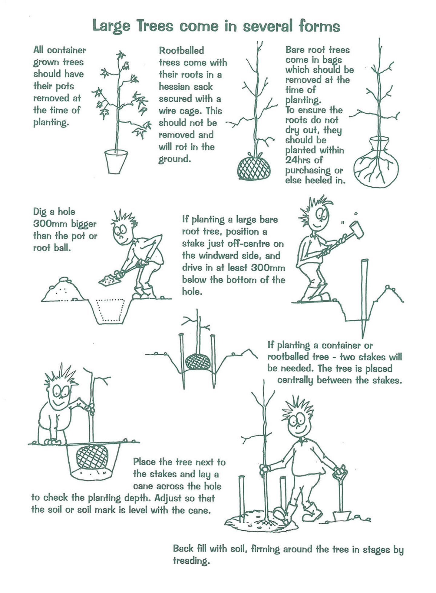Tree Planting Guide Nz Chew Valley Trees | Large Tree Planting Guide