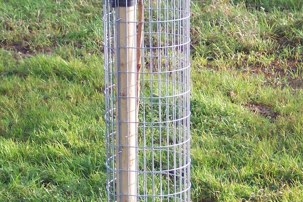 Rabbit Control Tree Guard Guides | Chew Valley Trees