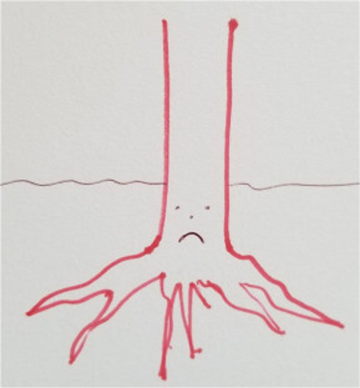 Planted too deep sad face 289 311 90