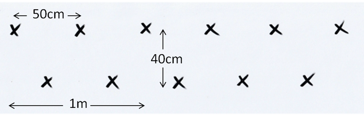Four per metre diagram 948 302 c1