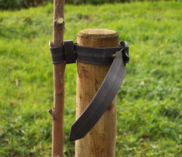 Single Stake Pack - Single Stake Pack | Chew Valley Trees